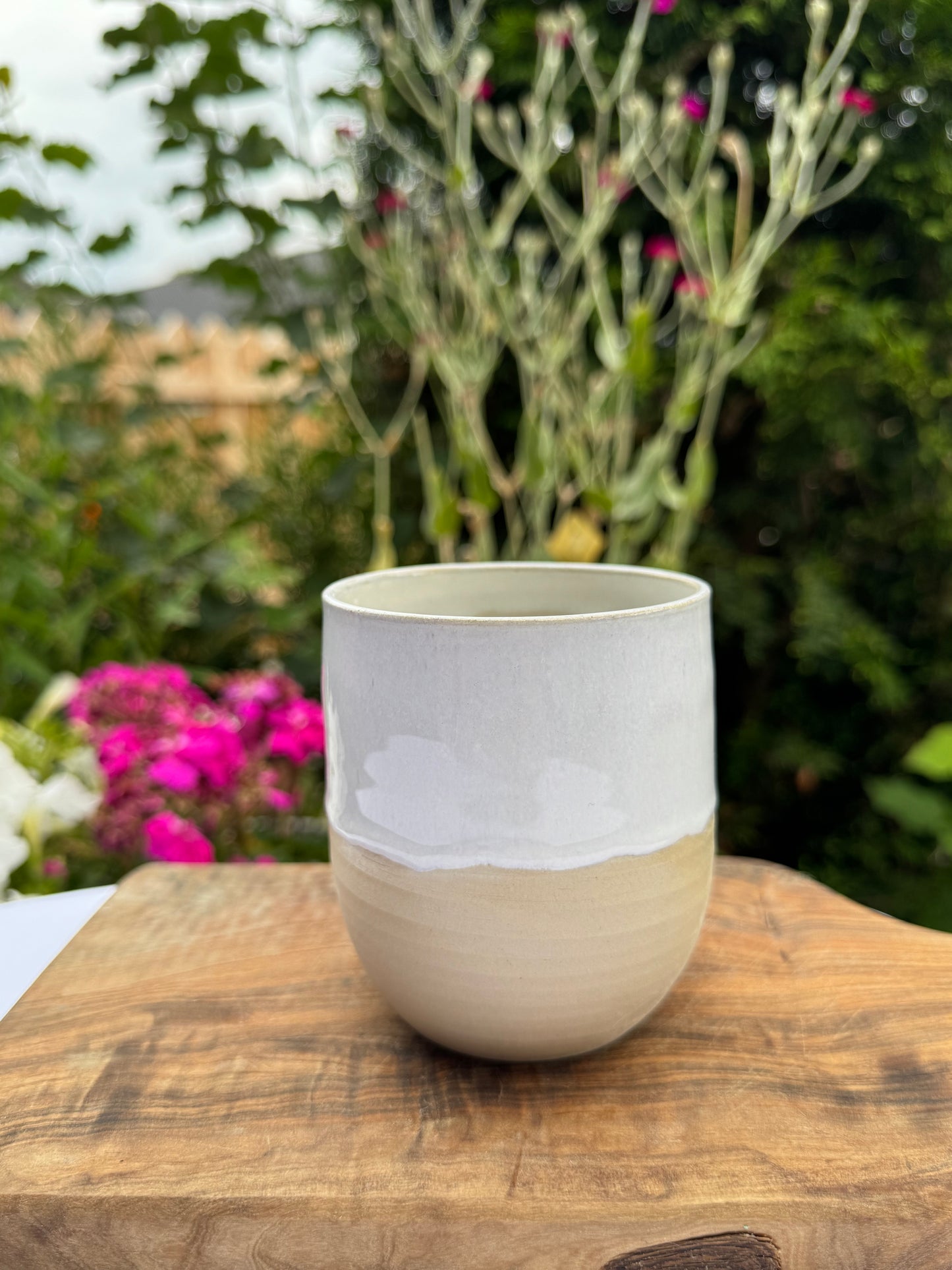 Tasse 16