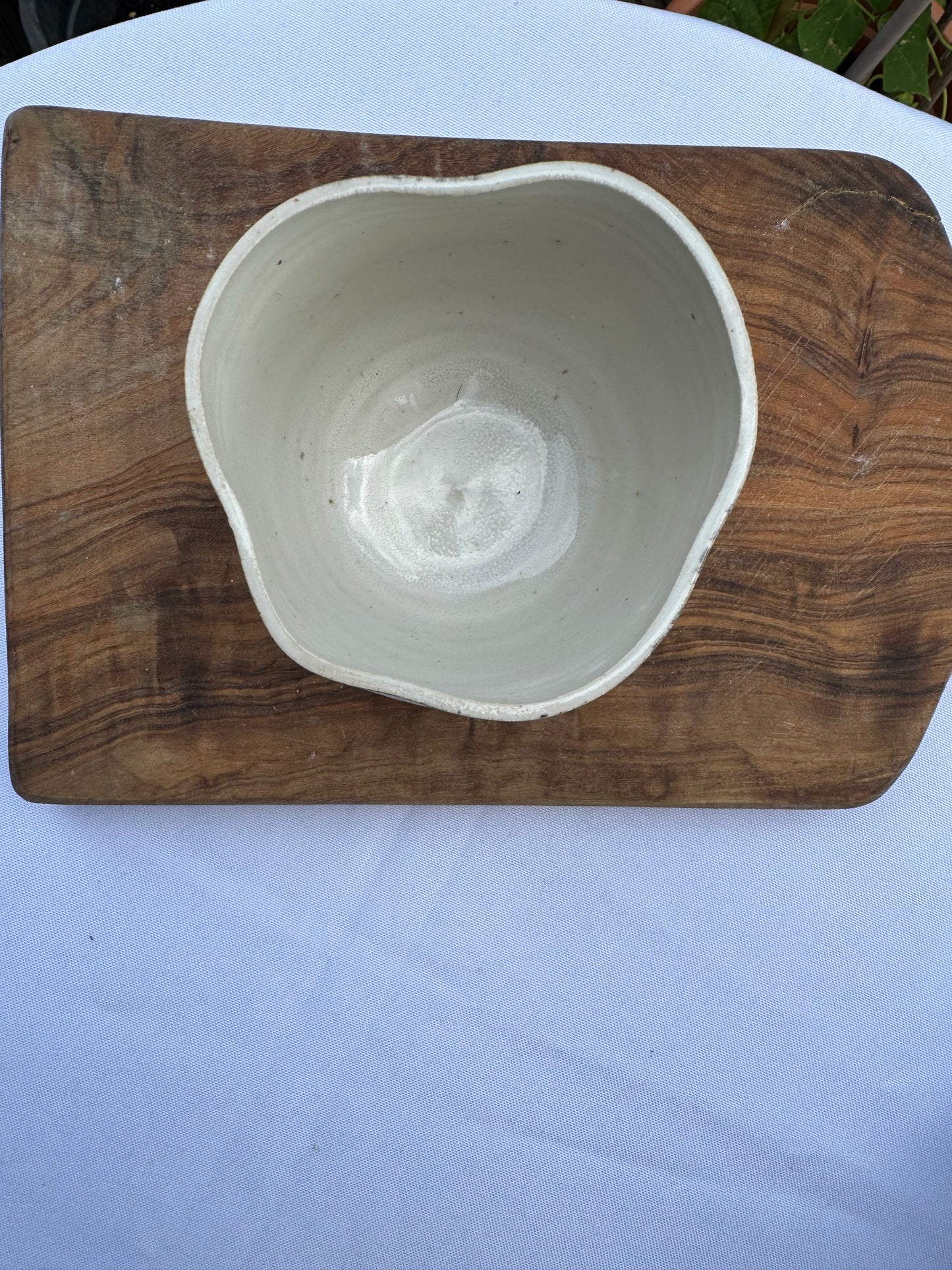 Tasse 72