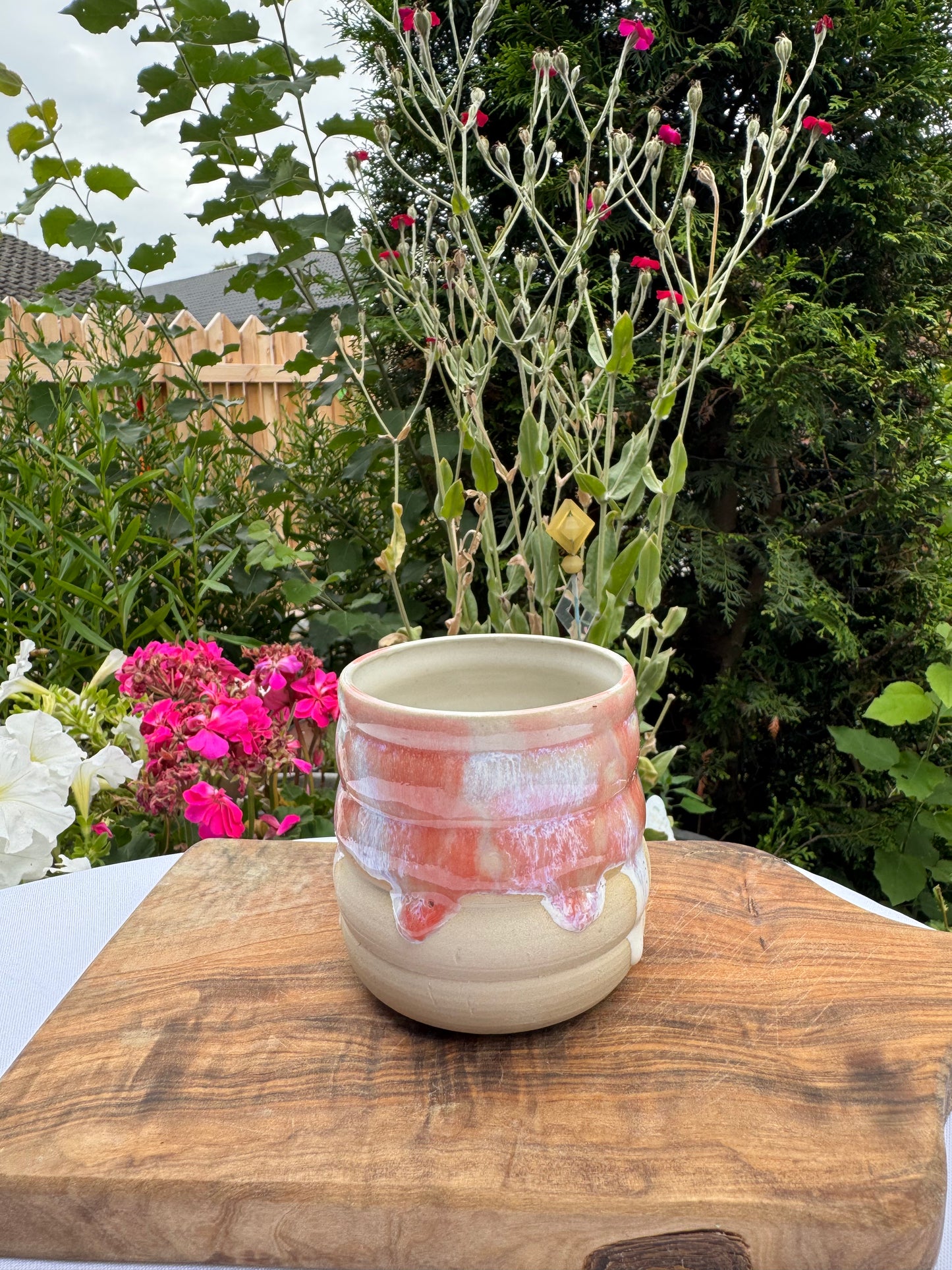 Tasse 25
