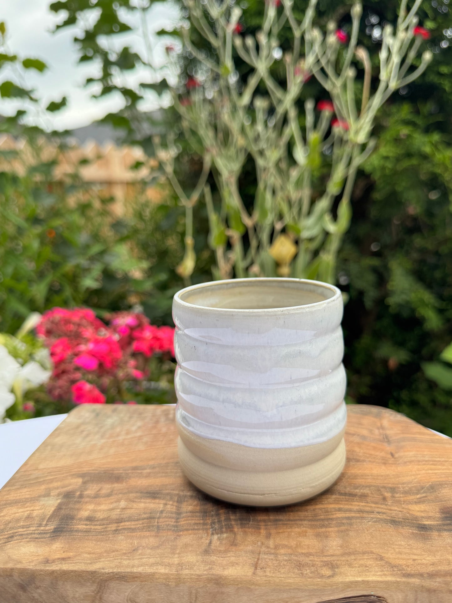 Tasse 32